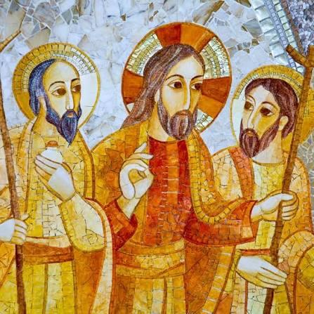 XV Domenica del Tempo Ordinario - Anno A